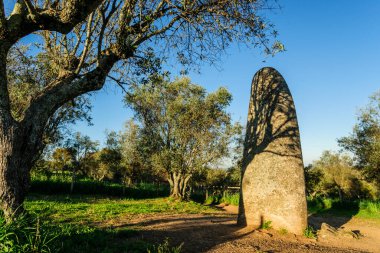 Menhir Dos Almendres, neolitico antiguo, Nossa Senhora de Guadalupe, Valverde, Evora, Alentejo, Portekiz, Avrupa