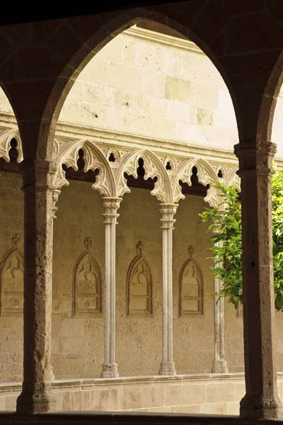 Sant Francesc Manastırı Nın Kolonları Ondördüncü Yüzyıl Mallorca Balear Adaları — Stok fotoğraf