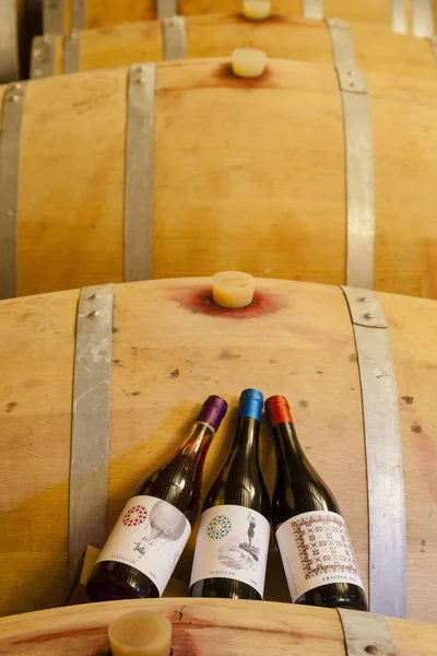 Mesquida Mora Winery Pla Llevant Ursprungsbeteckning Porreres Mallorca Balearerna Spanien — Stockfoto