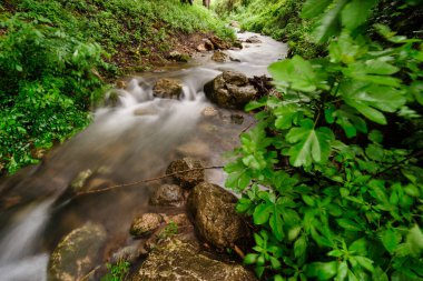 Torrente de Avall - torrente de Valldemossa-, Valldemosa, Sierra de Tramuntana, Mallorca, Islas Baleares, İspanya