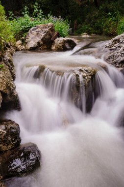 Torrente de Avall - torrente de Valldemossa-, Valldemosa, Sierra de Tramuntana, Mallorca, Islas Baleares, İspanya