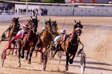 Hippica Grand Prix 'si, Son Pardo, Palma, Mallorca Hipodromu, Balear Adaları, İspanya, Avrupa
