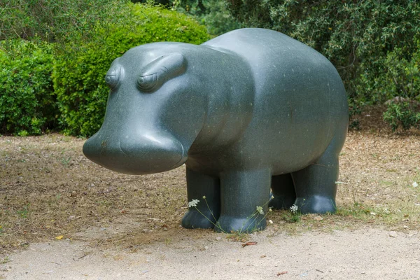 Hippo 2007 Bassa Blanca Museum Msbb — Stockfoto