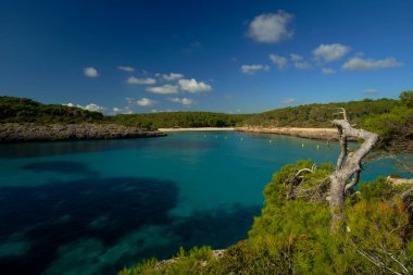 Cal den Borgit.Mondrago parkı, Santanyi. Migjorn.Mallorca.Illes Balears. İspanya