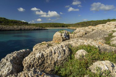 Cal den Borgit.Mondrago parkı, Santanyi. Migjorn.Mallorca.Illes Balears. İspanya