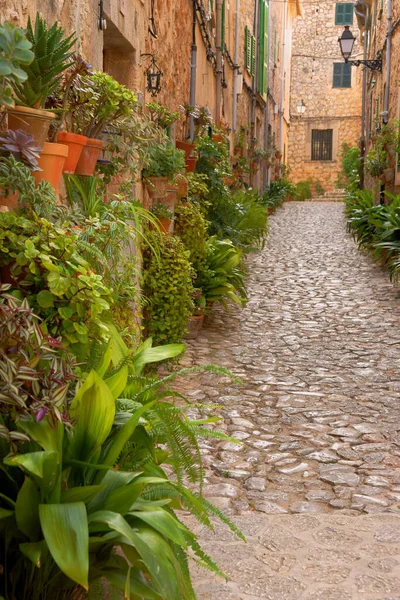 Cal den Borgit.Mondrago parkı, Santanyi. Migjorn.Mallorca.Illes Balears. İspanya