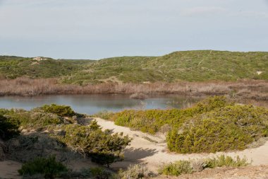 Prat de Morella.Menorca. Balearic Adaları. İspanya.