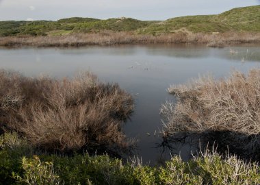 Prat de Morella.Menorca. Balearic Adaları. İspanya.