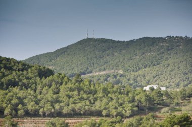 Puig de Talaia (475 mt). Sant Josep de Talaia. Ibiz. Balear Adaları. İspanya..