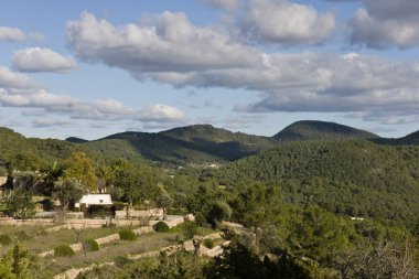 Serra Grossa. İbiz. Balear Adaları. İspanya..