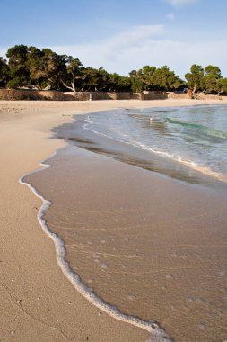Cala Bassa. Doğal park yeri Cala Bassa-Cala Compte. Balear Adaları. İspanya..