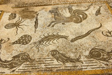 Mosaicos de la casa de orfeo / termas de Galiano.Ciudad Romana de Volubilis (II d.c), yacimiento arqueologico.Marruecos.