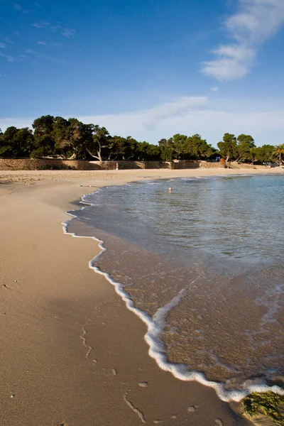 Cala Bassa Parque Natural Cala Bassa Cala Compte Ibiza Balearic — Stock Photo, Image