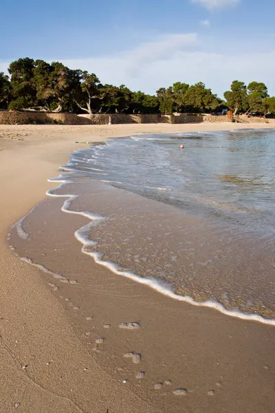 Cala Bassa Naturpark Cala Bassa Cala Compte Ibiza Balearische Insel — Stockfoto