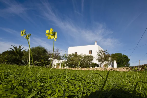Casa Tradicional San Antonio Portmany Ibiza Balearische Inseln Spanien — Stockfoto