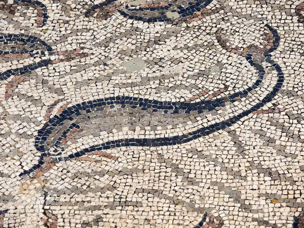 Mosaicos Casa Orfeo Ciudad Romana Volubilis Yacimiento Arqueologico Marruecos — Stock fotografie