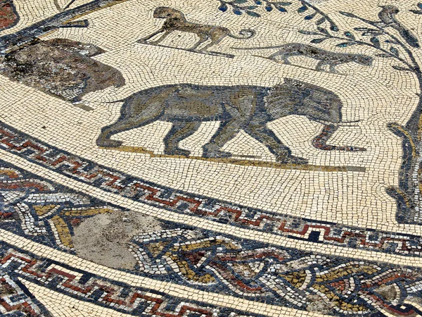 Mosaicos Casa Orfeo Ciudad Romana Volubilis Yacimiento Arqueologico Marruecos — Stock fotografie