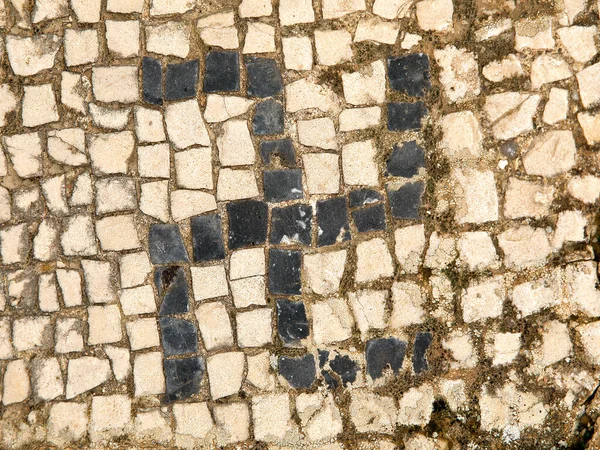 Mosaicos Casa Orfeo Ciudad Romana Volubilis Esvastica Yacimiento Arqueologico Marruecos — Stock fotografie