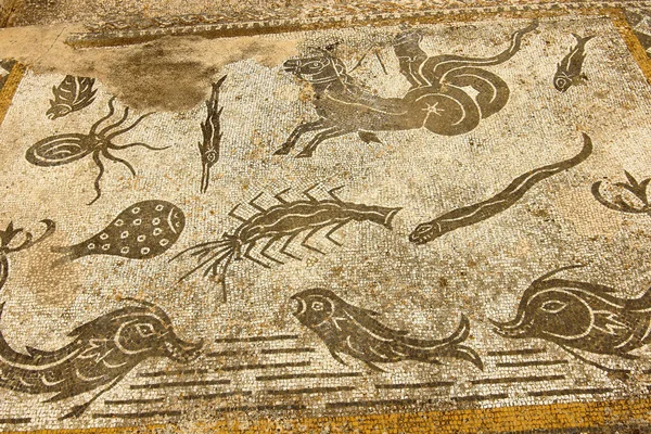 Mosaicos Casa Orfeo Termas Galiano Ciudad Romana Volubilis Yacimiento Arqueologico — Stock fotografie