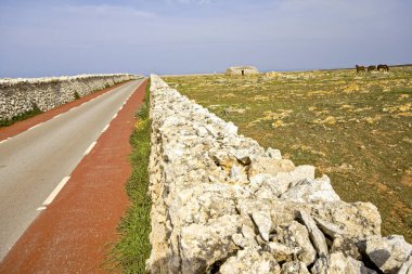 Mayorka, Balear Adaları, İspanya