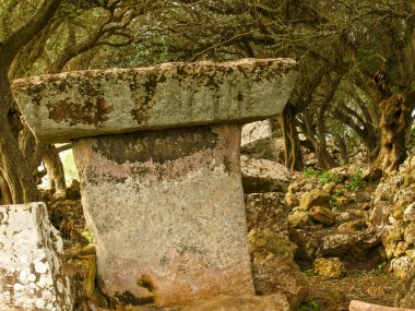 Mayorka, Balear Adaları, İspanya