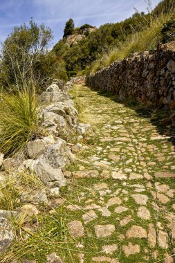 Mayorka, Balear Adaları, İspanya
