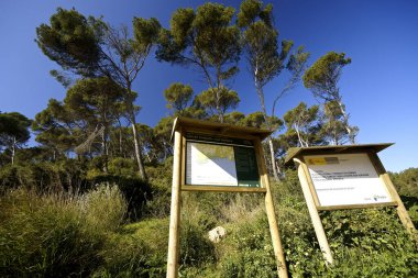 Mayorka, Balear Adaları, İspanya