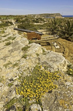 Mayorka, Balear Adaları, İspanya