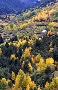 Mayorka, Balear Adaları, İspanya
