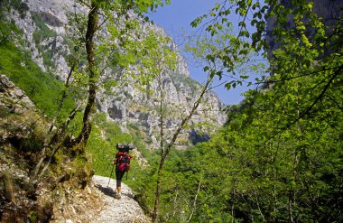 Mayorka, Balear Adaları, İspanya