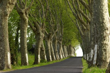 Mayorka, Balear Adaları, İspanya