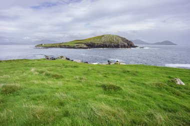 Çimenli sahil boyunca yürüyen aile, Ballinskelligs, Ring of Kerry, İngiltere