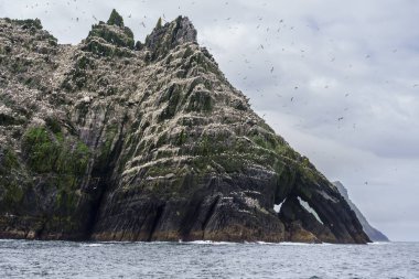 Sceilg Bheag, Skellig Rock Small, İrlanda, Birleşik Krallık