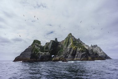 Sceilg Bheag, Skellig Rock Small, İrlanda, Birleşik Krallık