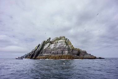 Sceilg Bheag, Skellig Rock Small, İrlanda, Birleşik Krallık