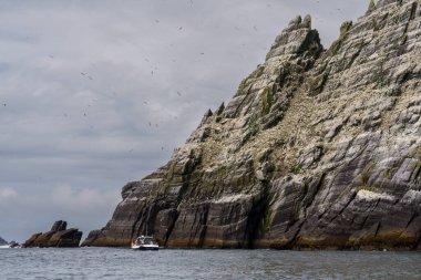 Sceilg Bheag, Skellig Rock Small, İrlanda, Birleşik Krallık
