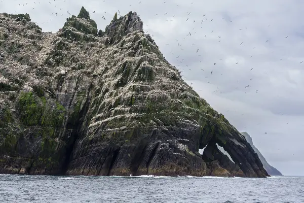 Sce Cust Widag Skellig Rock Small Ірландія Велика Британія — стокове фото