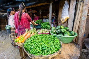 acı biber, lancetillo, la parroquia, zona reyna, quiche, guatemala, Orta Amerika