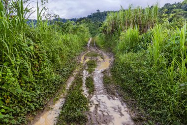 Çamurlu yol, Lancetillo, La Parroquia, Reyna bölgesi, Quiche, Guatemala, Orta Amerika