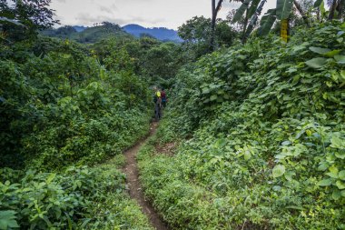 Los Cerritos, Lancetillo, La Parroquia, Reyna bölgesi, Quiche, Guatemala, Cent