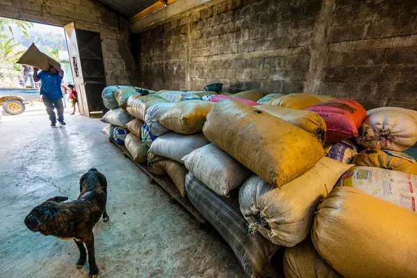 stock image Cardamom warehouse, Lancetillo, La Parroquia, Reyna area, Quiche, Guatemala, Central America