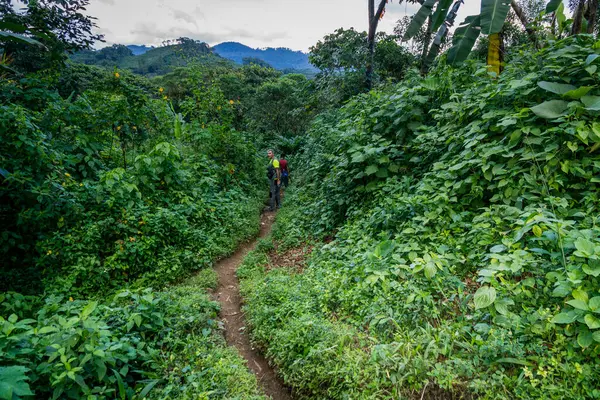 stock image ral Americaexcursion through tropical forest, Los Cerritos, Lancetillo, La Parroquia, Reyna area, Quiche, Guatemala, Cent