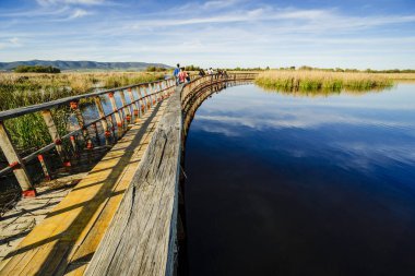 Tablolar de Daimiel Ulusal Parkı, Ciudad Real, Kastilya-La Mancha, İspanya, Avrupa