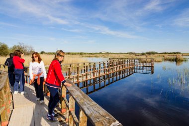 Tablolar de Daimiel Ulusal Parkı, Ciudad Real, Kastilya-La Mancha, İspanya, Avrupa