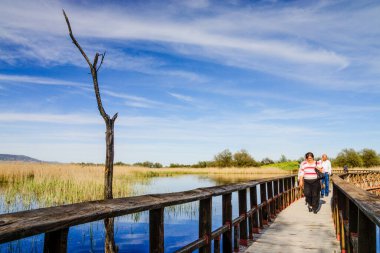 Tablolar de Daimiel Ulusal Parkı, Ciudad Real, Kastilya-La Mancha, İspanya, Avrupa