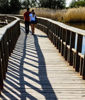 Tablolar de Daimiel Ulusal Parkı, Ciudad Real, Kastilya-La Mancha, İspanya, Avrupa