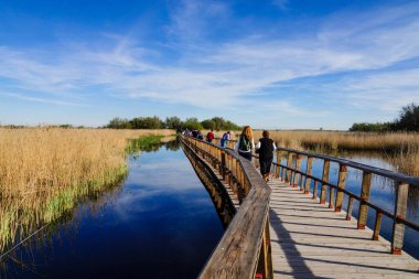 Tablolar de Daimiel Ulusal Parkı, Ciudad Real, Kastilya-La Mancha, İspanya, Avrupa