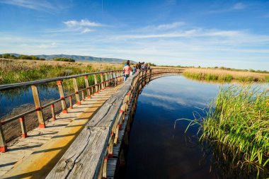 Tablolar de Daimiel Ulusal Parkı, Ciudad Real, Kastilya-La Mancha, İspanya, Avrupa