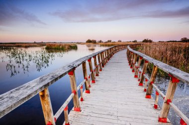 Gün doğumunda kaldırımlar, Daimiel Ulusal Parkı, Ciudad Real, Castilla-La Mancha, İspanya, Avrupa