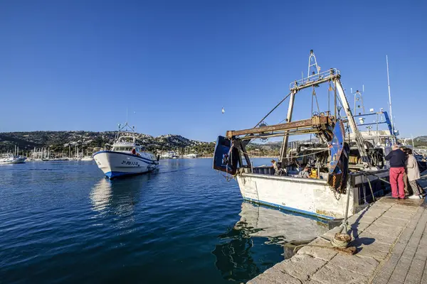 stock image sailors selecting the fish, trawling or bou fishing, Andratx, Mallorca, Balearic Islands, Spain